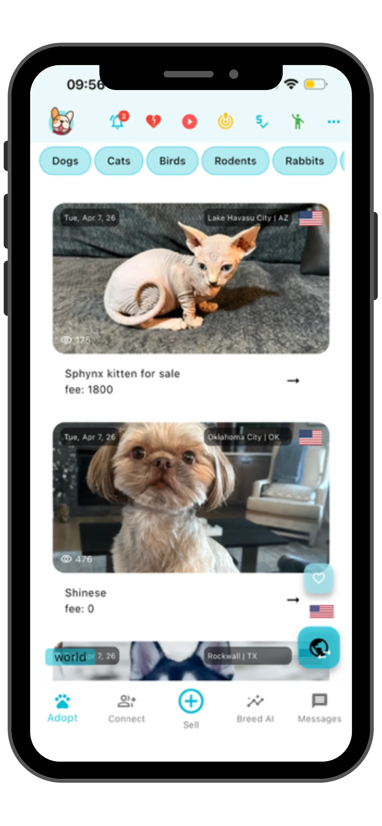 Pet listings in Lake Havasu City Arizona, Oklahoma City and Rockwall Texas