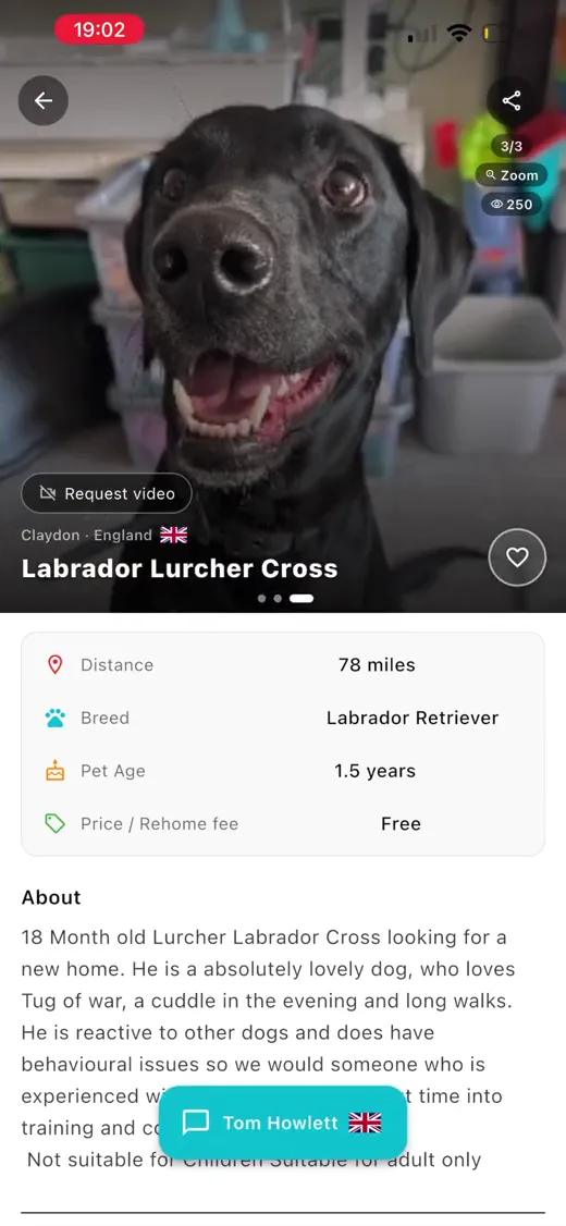 A pet listing showing distance, breed, age and the price the owner set